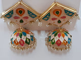 Light multi colors meena earrings - NATASHAHS